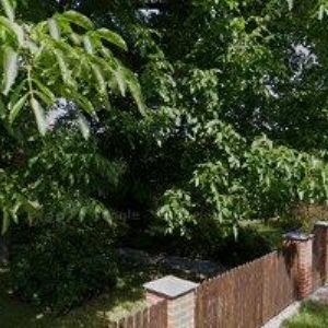 obrazek: avatar VINCENC JAKUB