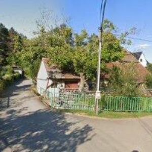 obrazek: avatar FESTIVAL ČESNEKU