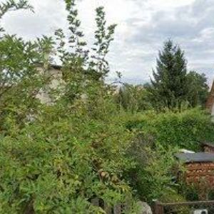 obrazek: avatar KOČÁRKY KIFÍK