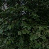 LTZ LIBŠTÁT s.r.o.