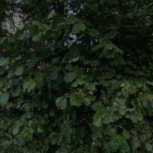 obrazek: avatar LTZ LIBŠTÁT s.r.o.