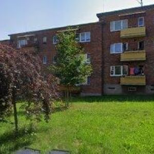 obrazek: avatar AGENTURA VELRYBA s.r.o.