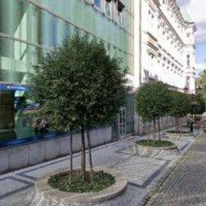 obrazek: avatar SAPSWAY s.r.o.