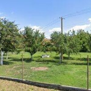 obrazek: avatar FEKAR MILOSLAV MgA.