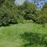 BOXERKLUB ČR Ústí nad Orlicí