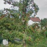 SKUPINA HISTORICKÉHO ŠERMU NUNTIUS REGIS