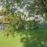 KČT, ODBOR Napajedla