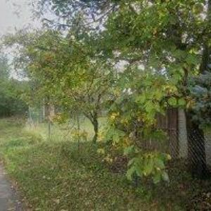 obrazek: avatar STRILENI.CZ