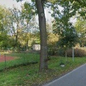 obrazek: avatar VIKING Pilínkov