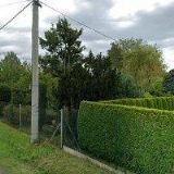 BUCHAR KOVOVÝROBA-ZÁMEČNICTVÍ