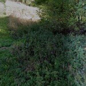 obrazek: avatar DYREMA, s.r.o.