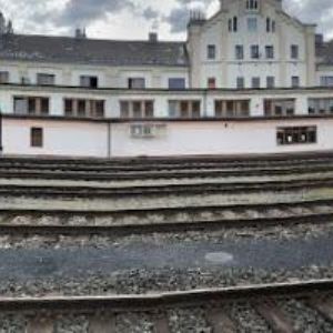 obrazek: avatar TRAMPOLÍNY PATRMAN