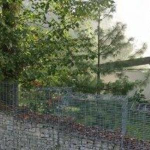 obrazek: avatar ANTES PAVEL-STAVEBNÍ FIRMA ANTES