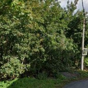 obrazek: avatar VÁLEK JAROSLAV