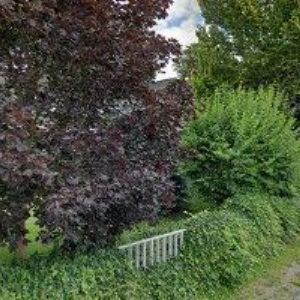 obrazek: avatar AKYMARA s.r.o.