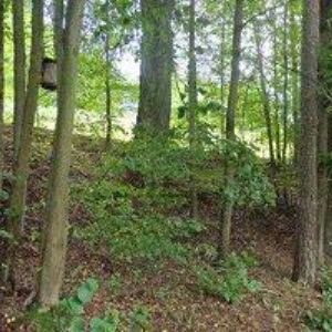 obrazek: avatar TROST KAREL