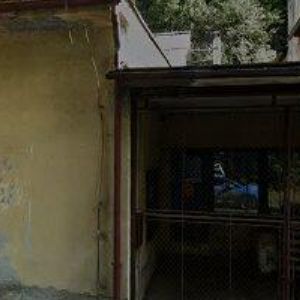 obrazek: avatar RADIANA, spol. s r.o.