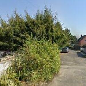 obrazek: avatar KOVO-ZIEGLER