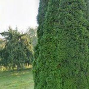 obrazek: avatar HALEŠ JIŘÍ-ZÁMEČNICKÁ POHOTOVOST