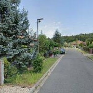 obrazek: avatar AGAMA MODEL