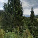 SVATÝ ROBERT-KLEMPÍŘSTVÍ