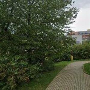 obrazek: avatar SUNITRA s.r.o.