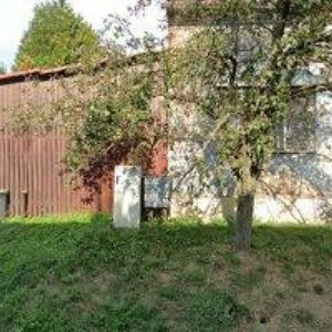 obrazek: avatar SUŠENÉ KVĚTINY HÁDLÍK