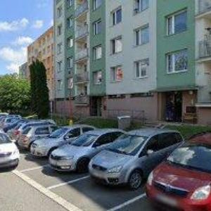 obrazek: avatar JANKO PETR-VÝŠKOVÉ PRÁCE