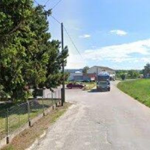 obrazek: avatar PLOTY BEVES