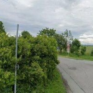 obrazek: avatar LAKOVNA MOSTR s.r.o.