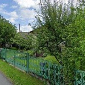 obrazek: avatar DANIEL JAN