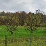 STAVEBNICE PONY s.r.o.