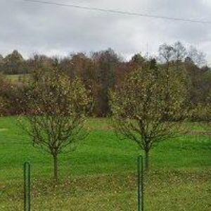 obrazek: avatar STAVEBNICE PONY s.r.o.