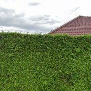 obrazek: avatar SOUDEK ROMAN-ZÁMEČNICTVÍ