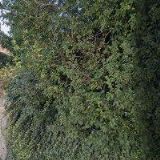 ORTHO-AKTIV, spol. s r.o.