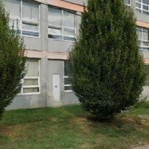 obrazek: avatar TRIOP