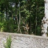 SERVICE-SOLUTION s.r.o.