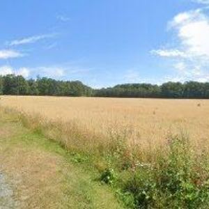 obrazek: avatar MILLER VLADIMÍR-KOVO-SYSTÉM