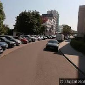 obrazek: avatar PALISA JINDŘICH