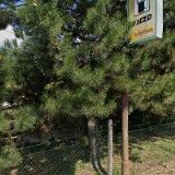 PD PLAST, spol. s r.o.