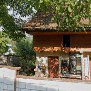 obrazek: avatar OVESNÝ KAREL