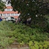 IDEAL TRADE, spol. s r.o.