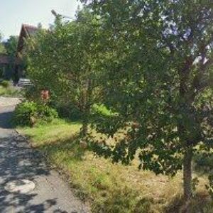 obrazek: avatar OCEL-HAL s.r.o.