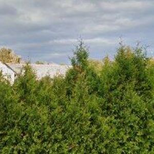 obrazek: avatar VALČÍK MIROSLAV