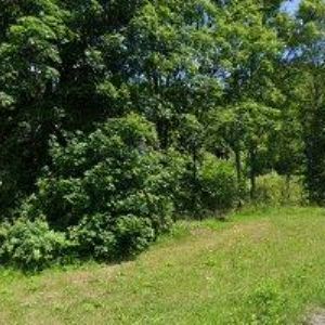 obrazek: avatar HXM CREW s.r.o.