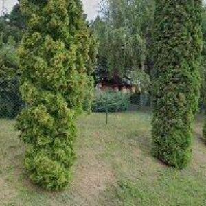 obrazek: avatar DRONEK JAROMÍR