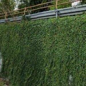 obrazek: avatar STEPANSERVIS