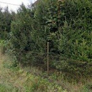 obrazek: avatar H GLASS, s.r.o.