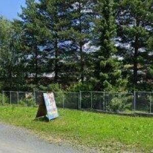 obrazek: avatar TIKR