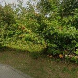 obrazek: avatar TOTEX s.r.o.